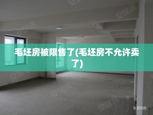 毛坯房被限售了(毛坯房不允许卖了)