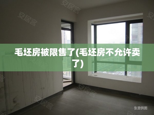 毛坯房被限售了(毛坯房不允许卖了)