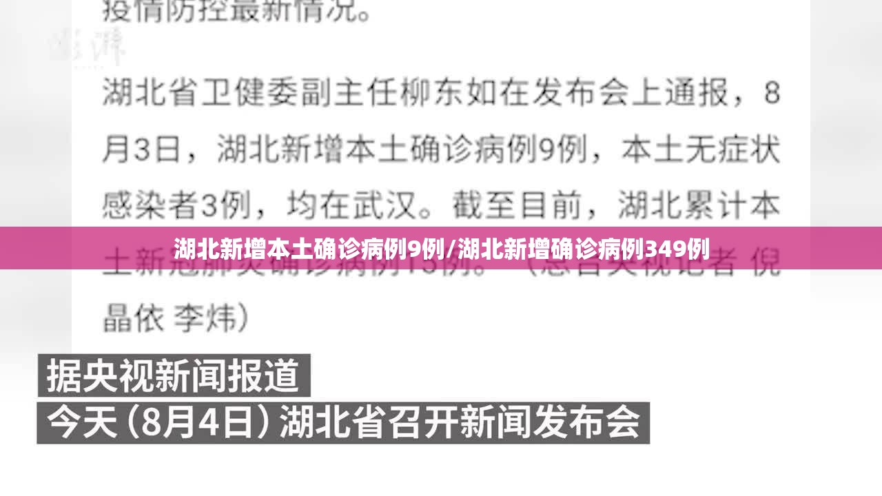 湖北新增本土确诊病例9例/湖北新增确诊病例349例 湖北新增本土确诊病例9例/湖北新增确诊病例349例