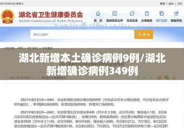 湖北新增本土确诊病例9例/湖北新增确诊病例349例 湖北新增本土确诊病例9例/湖北新增确诊病例349例