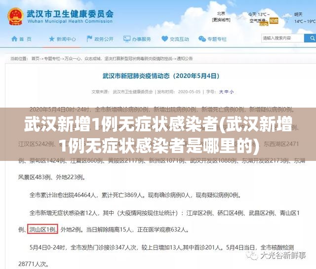 武汉新增1例无症状感染者(武汉新增1例无症状感染者是哪里的)