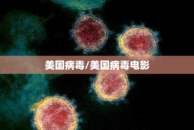 美国病毒/美国病毒电影 美国病毒/美国病毒电影