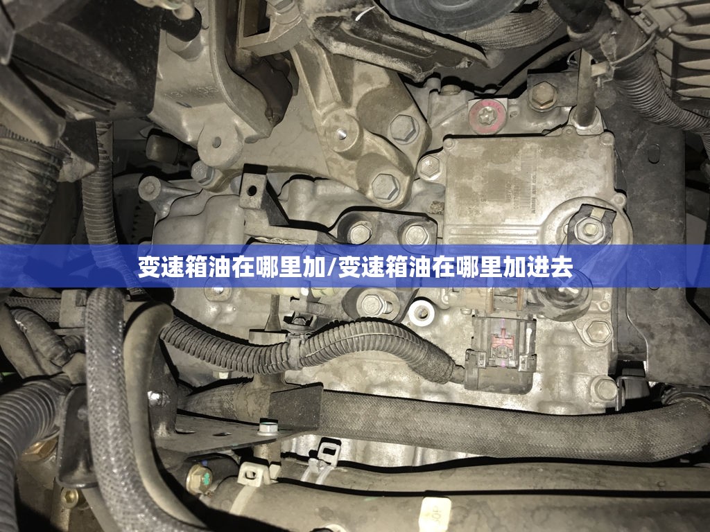 变速箱油在哪里加/变速箱油在哪里加进去