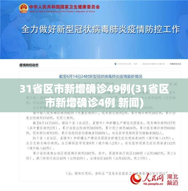 31省区市新增确诊49例(31省区市新增确诊4例 新闻)