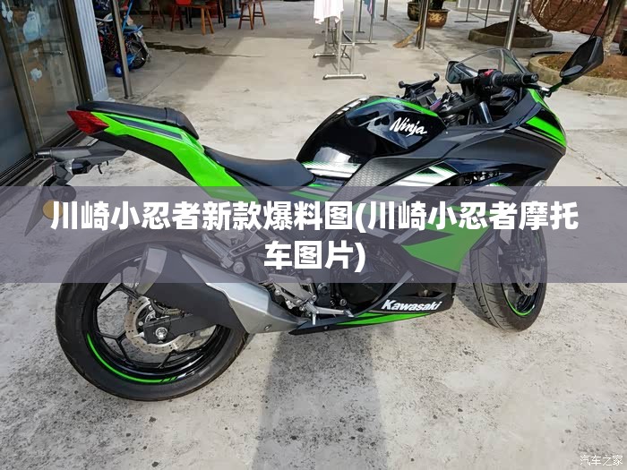 川崎小忍者新款爆料图(川崎小忍者摩托车图片)