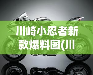 川崎小忍者新款爆料图(川崎小忍者摩托车图片)
