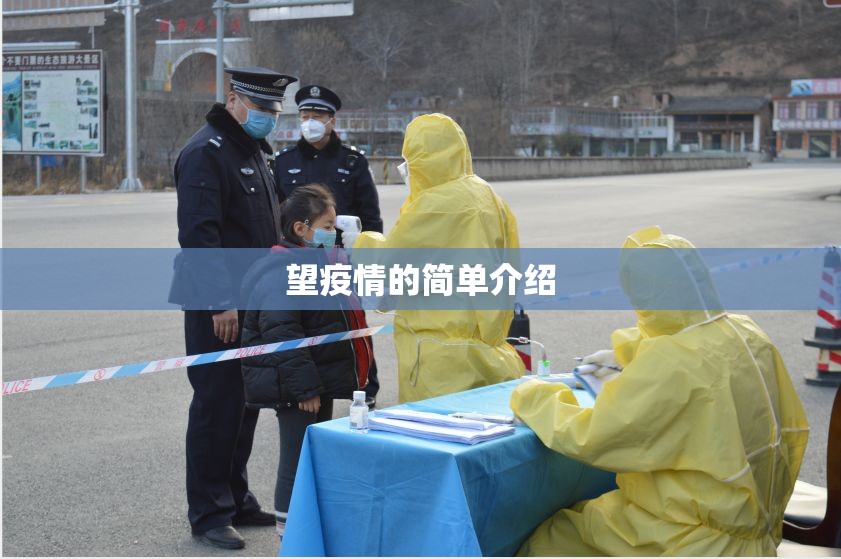 望疫情的简单介绍 望疫情的简单介绍