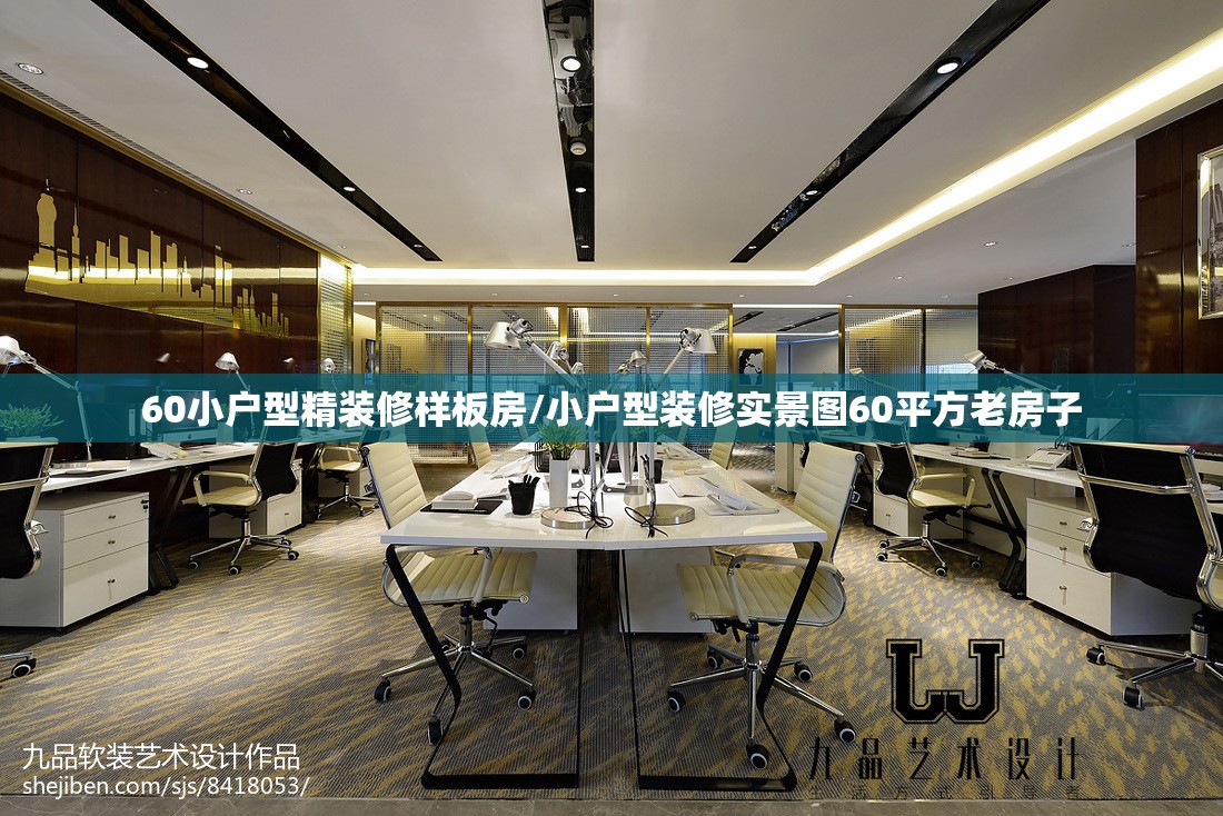 60小户型精装修样板房/小户型装修实景图60平方老房子