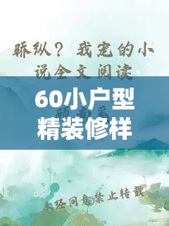 60小户型精装修样板房/小户型装修实景图60平方老房子