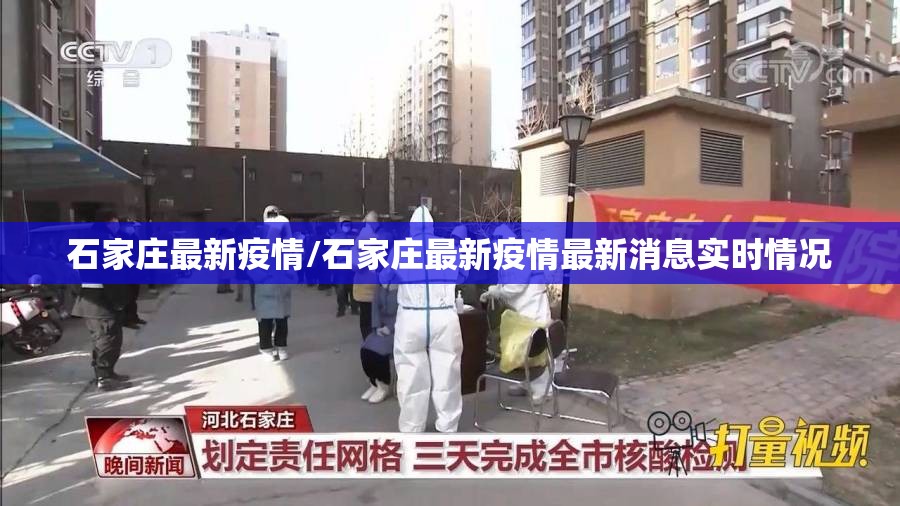 石家庄最新疫情/石家庄最新疫情最新消息实时情况 石家庄最新疫情/石家庄最新疫情最新消息实时情况