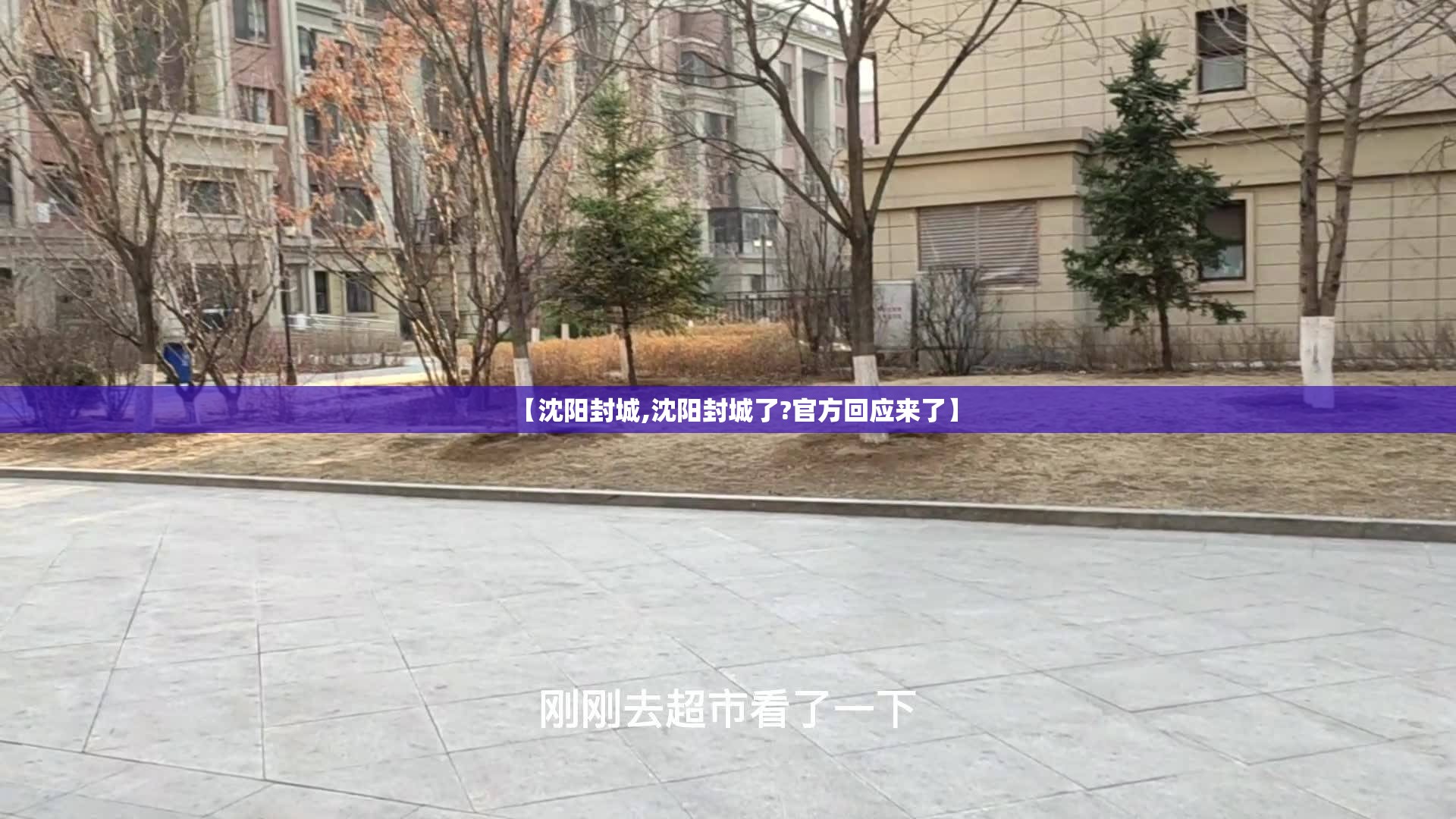 【沈阳封城,沈阳封城了?官方回应来了】