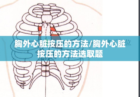 胸外心脏按压的方法/胸外心脏按压的方法选取题