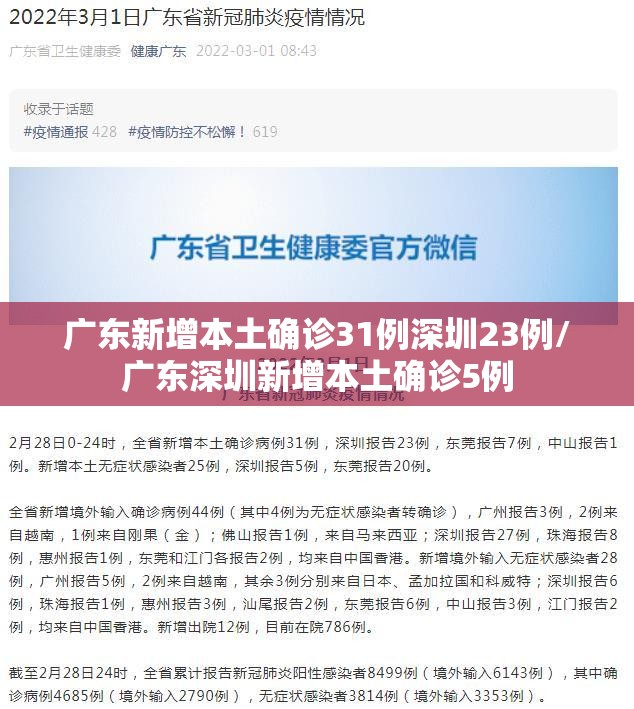 广东新增本土确诊31例深圳23例/广东深圳新增本土确诊5例 广东新增本土确诊31例深圳23例/广东深圳新增本土确诊5例