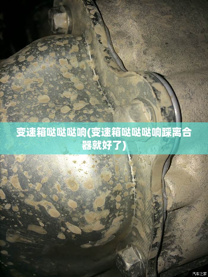 变速箱哒哒哒响(变速箱哒哒哒响踩离合器就好了) 变速箱哒哒哒响(变速箱哒哒哒响踩离合器就好了)