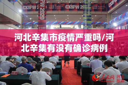 河北辛集市疫情严重吗/河北辛集有没有确诊病例 河北辛集市疫情严重吗/河北辛集有没有确诊病例