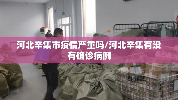 河北辛集市疫情严重吗/河北辛集有没有确诊病例 河北辛集市疫情严重吗/河北辛集有没有确诊病例