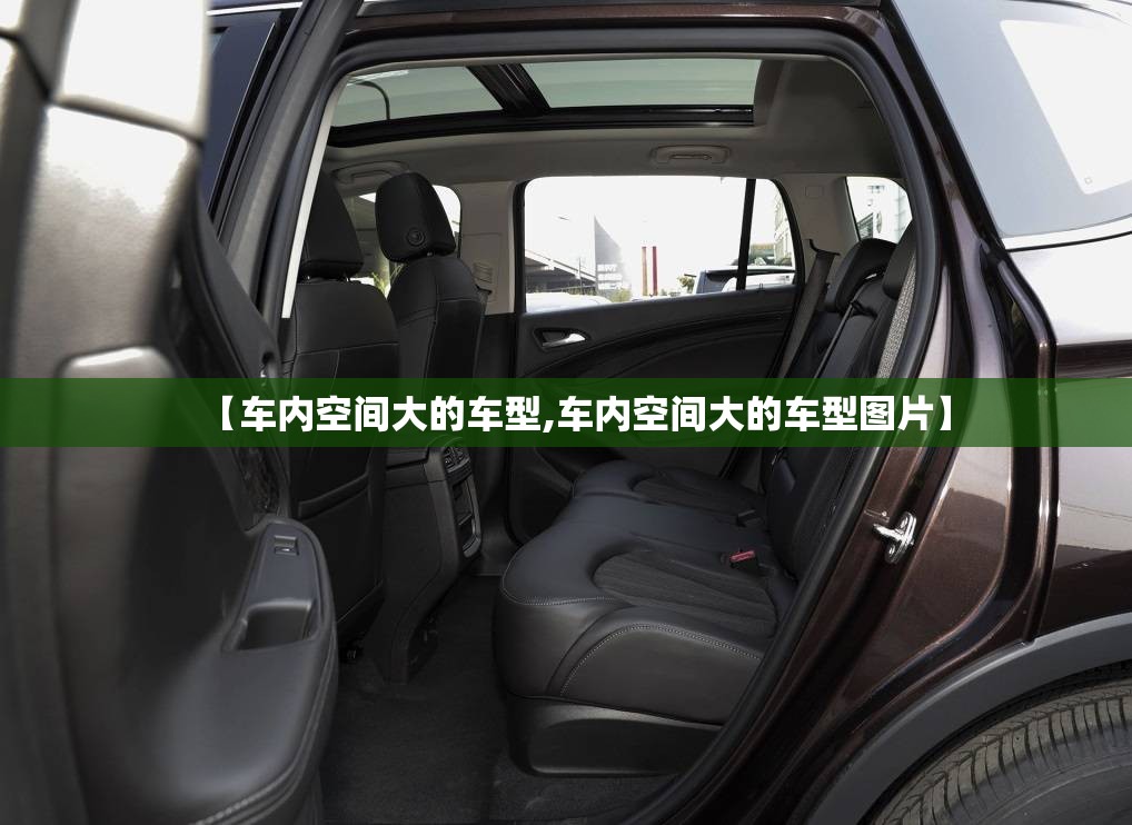 【车内空间大的车型,车内空间大的车型图片】