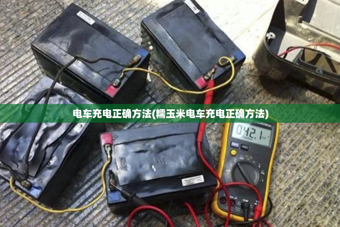 电车充电正确方法(糯玉米电车充电正确方法)