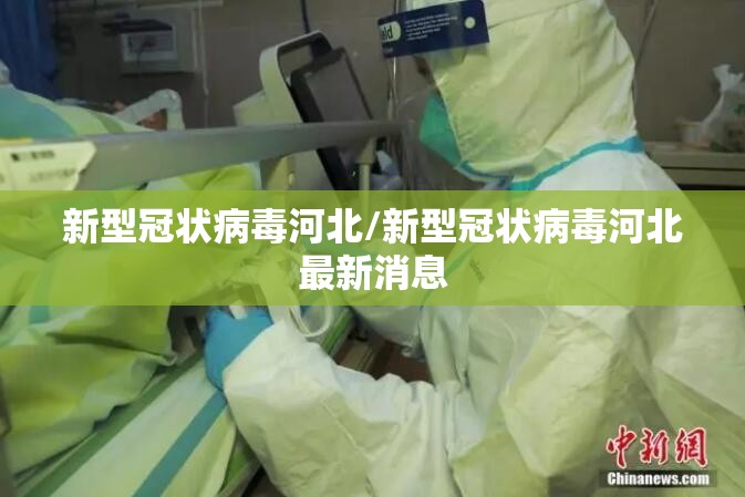 新型冠状病毒河北/新型冠状病毒河北最新消息