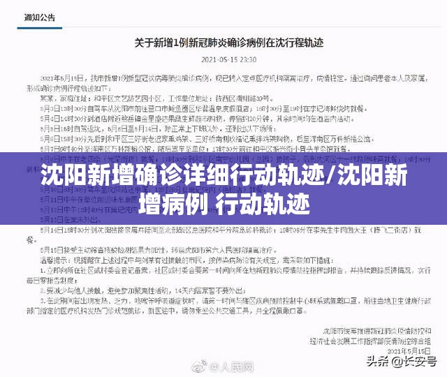 沈阳新增确诊详细行动轨迹/沈阳新增病例 行动轨迹 沈阳新增确诊详细行动轨迹/沈阳新增病例 行动轨迹