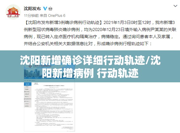 沈阳新增确诊详细行动轨迹/沈阳新增病例 行动轨迹 沈阳新增确诊详细行动轨迹/沈阳新增病例 行动轨迹