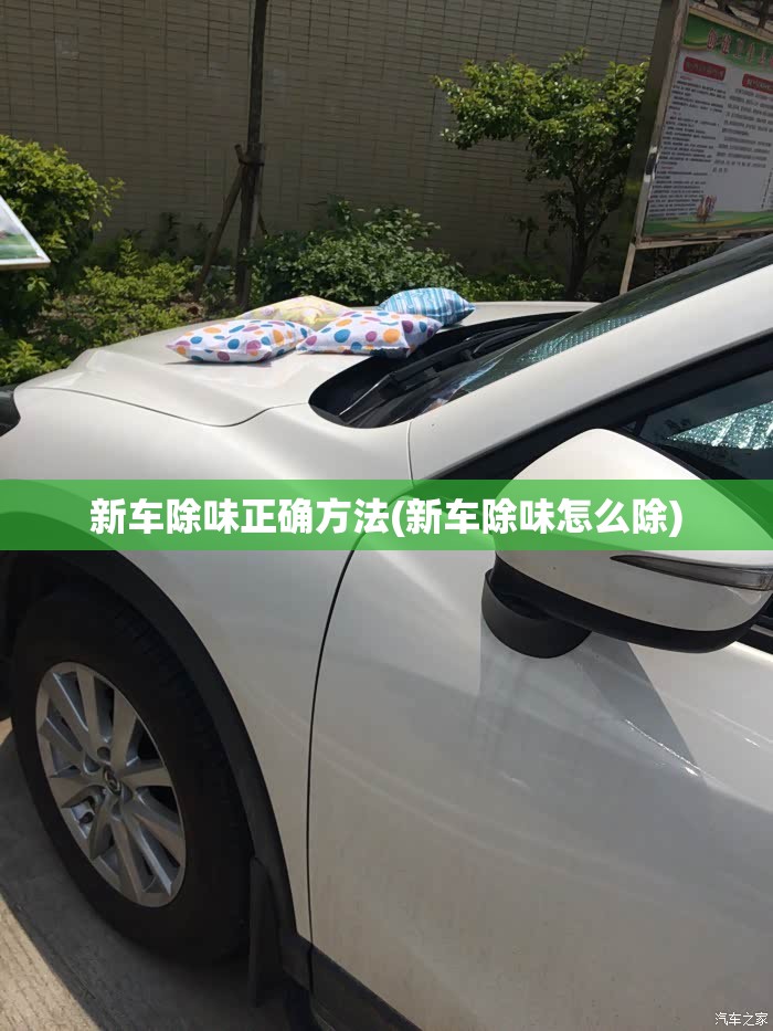 新车除味正确方法(新车除味怎么除) 新车除味正确方法(新车除味怎么除)