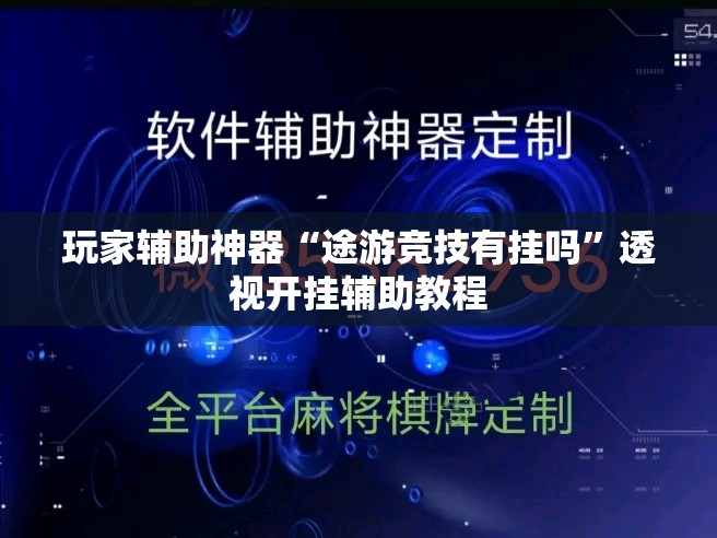 玩家辅助神器“途游竞技有挂吗”透视开挂辅助教程