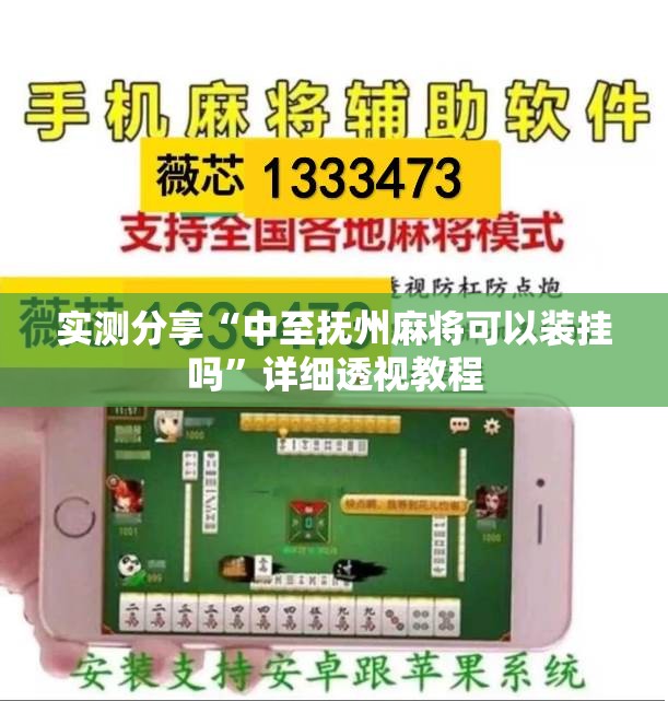 实测分享“中至抚州麻将可以装挂吗”详细透视教程
