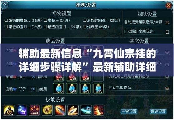 辅助最新信息“九霄仙宗挂的详细步骤详解	”最新辅助详细教程