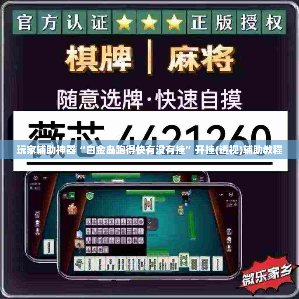 玩家辅助神器“白金岛跑得快有没有挂	”开挂(透视)辅助教程