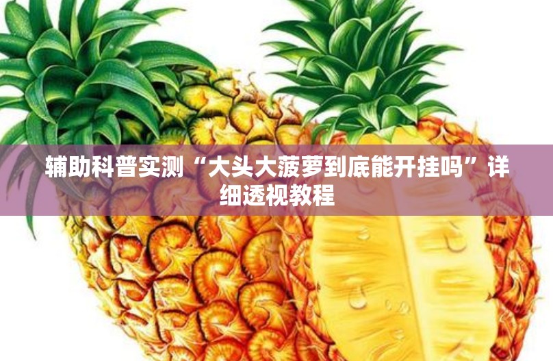 辅助科普实测“大头大菠萝到底能开挂吗”详细透视教程