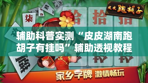 辅助科普实测“皮皮湖南跑胡子有挂吗”辅助透视教程