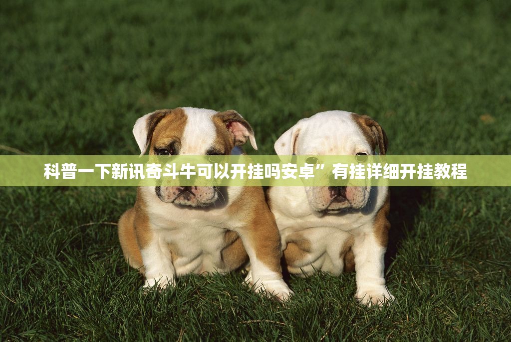 科普一下新讯奇斗牛可以开挂吗安卓	”有挂详细开挂教程