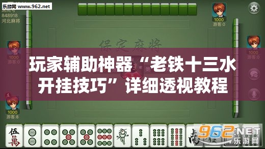 玩家辅助神器“老铁十三水开挂技巧”详细透视教程