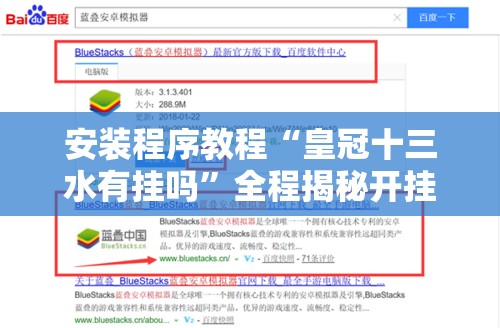 安装程序教程“皇冠十三水有挂吗	”全程揭秘开挂教程
