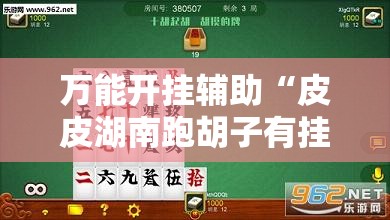 万能开挂辅助“皮皮湖南跑胡子有挂吗	”详细分享装挂步骤