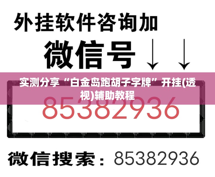实测分享“白金岛跑胡子字牌”开挂(透视)辅助教程