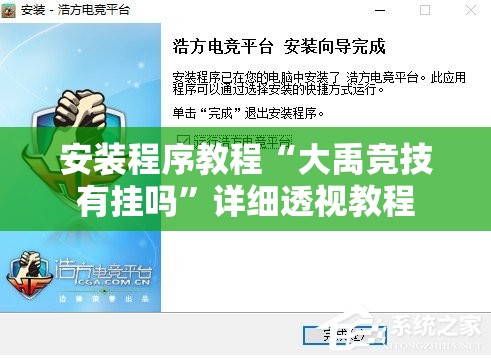安装程序教程“大禹竞技有挂吗”详细透视教程