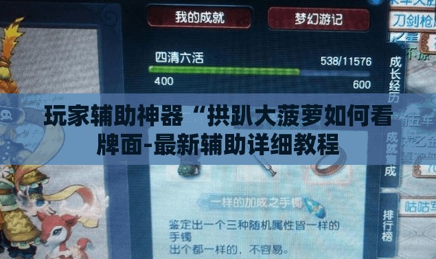 玩家辅助神器“拱趴大菠萝如何看牌面-最新辅助详细教程