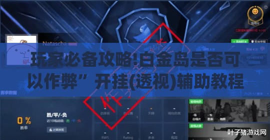 玩家必备攻略!白金岛是否可以作弊”开挂(透视)辅助教程