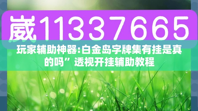 玩家辅助神器:白金岛字牌集有挂是真的吗”透视开挂辅助教程