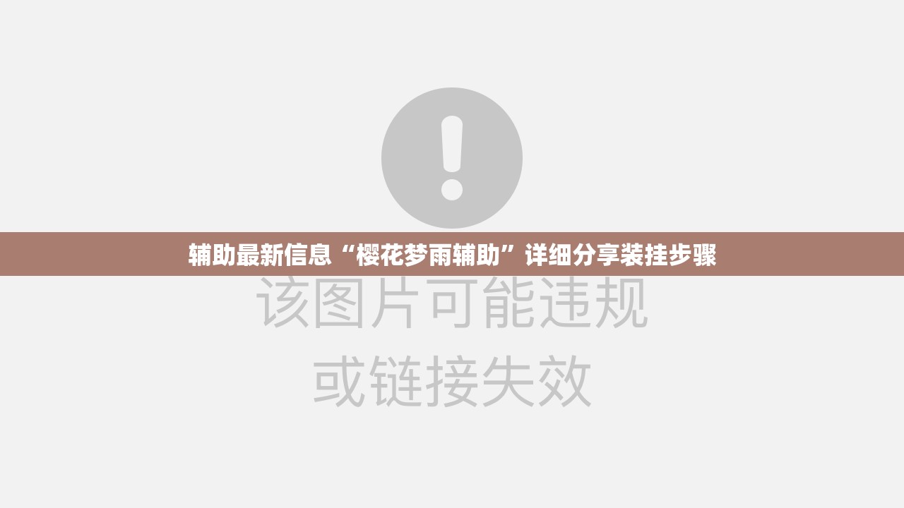 辅助最新信息“樱花梦雨辅助”详细分享装挂步骤