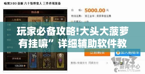 玩家必备攻略!大头大菠萝有挂嘛”详细辅助软件教程