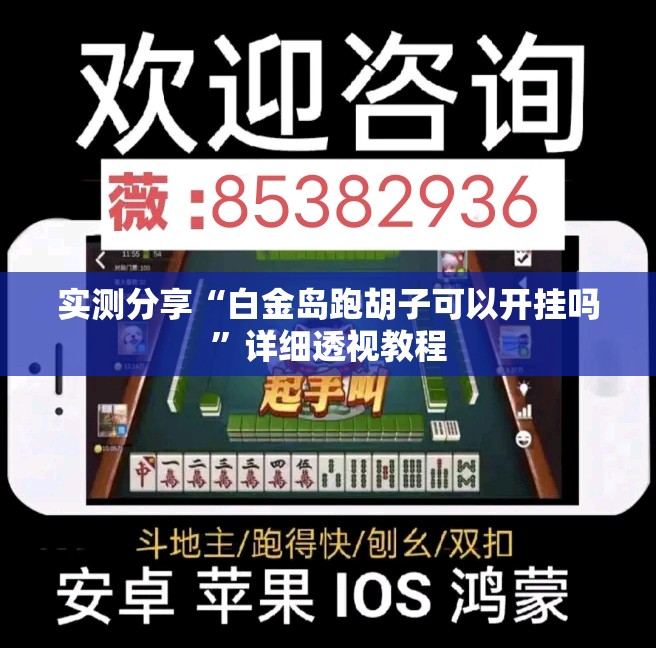 实测分享“白金岛跑胡子可以开挂吗	”详细透视教程