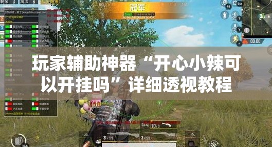 玩家辅助神器“开心小辣可以开挂吗”详细透视教程