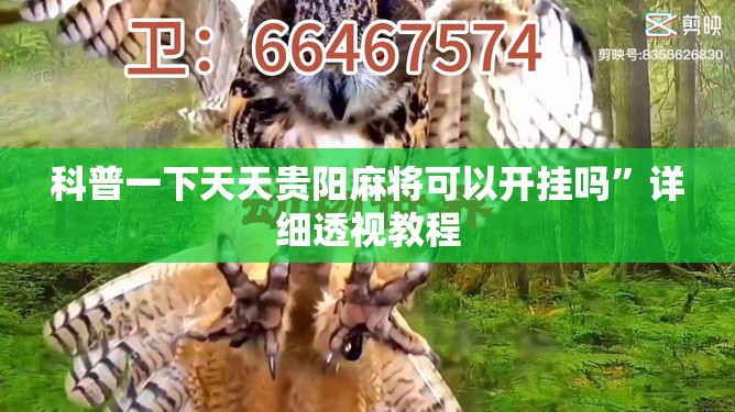 科普一下天天贵阳麻将可以开挂吗	”详细透视教程
