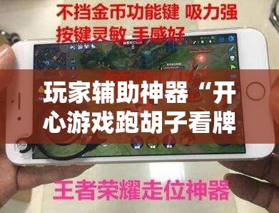 玩家辅助神器“开心游戏跑胡子看牌器”原来可以开挂