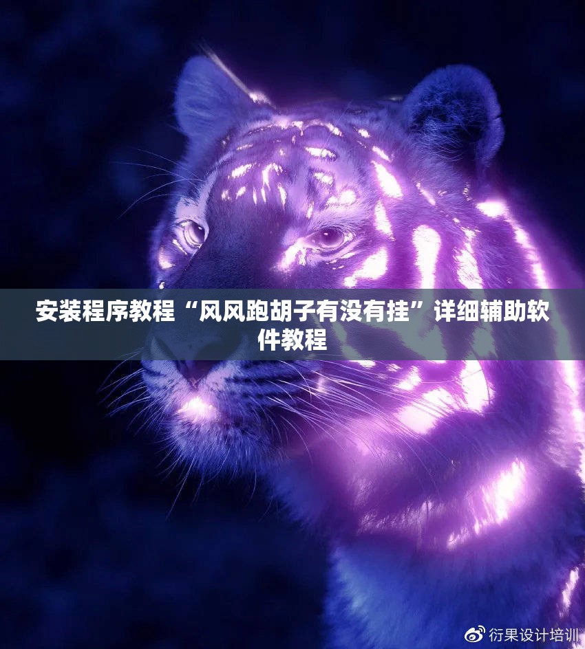 安装程序教程“风风跑胡子有没有挂”详细辅助软件教程
