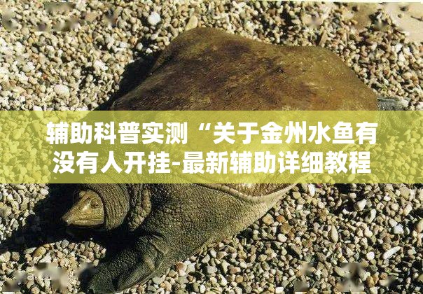 辅助科普实测“关于金州水鱼有没有人开挂-最新辅助详细教程