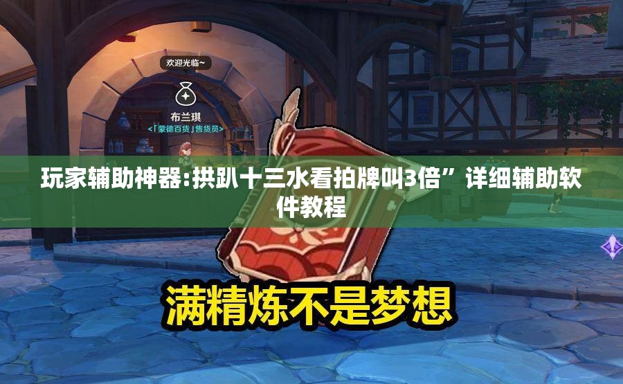玩家辅助神器:拱趴十三水看拍牌叫3倍	”详细辅助软件教程